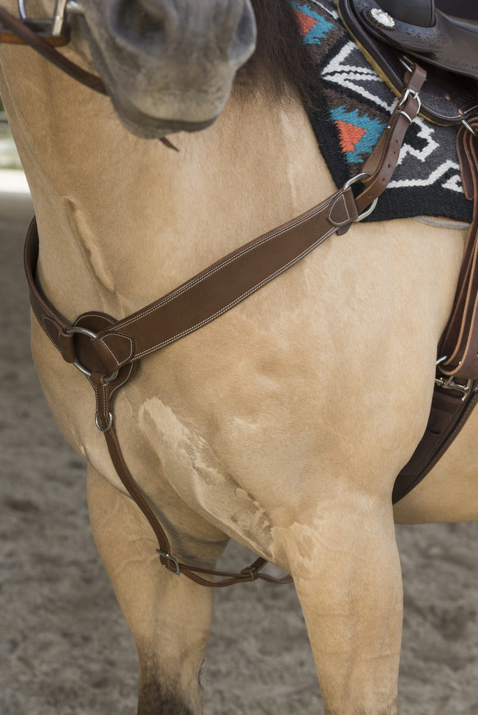 COLLIER DE CHASSE WESTRIDE BY FRANCK PERRET "BILLY"