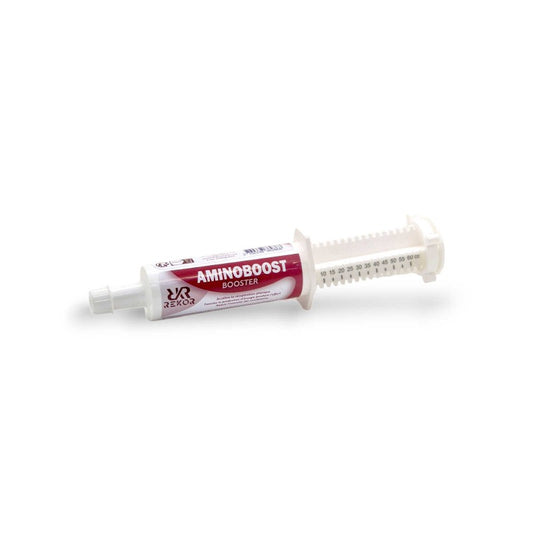 ALIMENT COMPLÉMENTAIRE REKOR "AMINOBOOST"