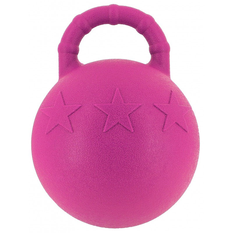 Ballon à poignée HIPPOTONIC