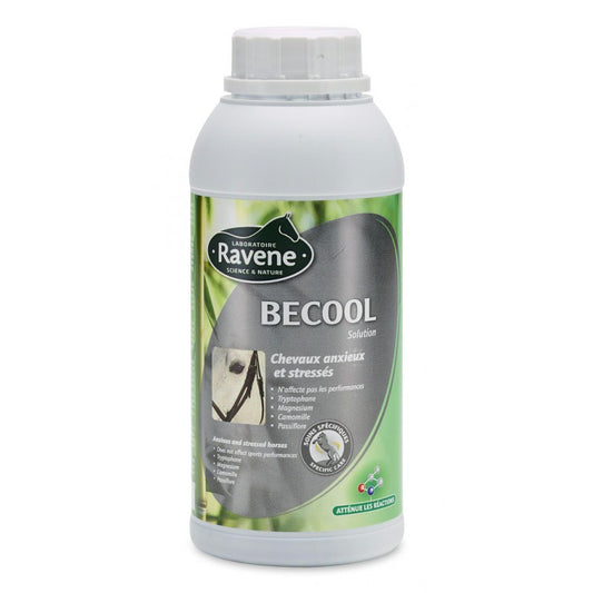 BECOOL RAVENE