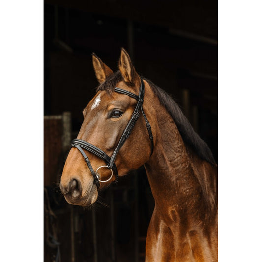 Bridon NORTON PRO - Apophyse