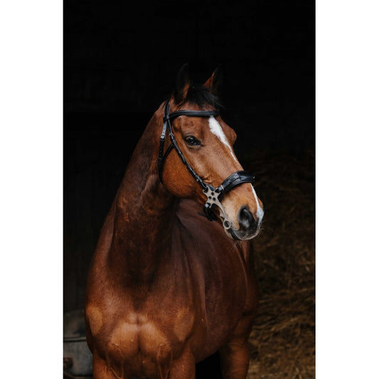 Bridon NORTON PRO - Hackamore