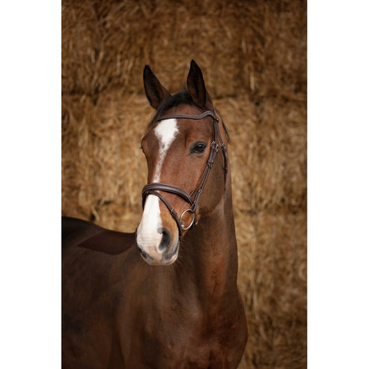 Bridon NORTON PRO - Perle