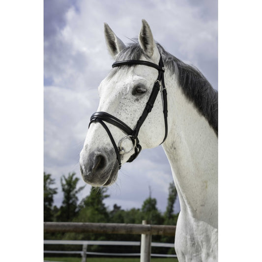 Bridon NORTON PRO - Soft