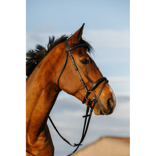 Bridon RIDING WORLD - Doublé muserolle combinée