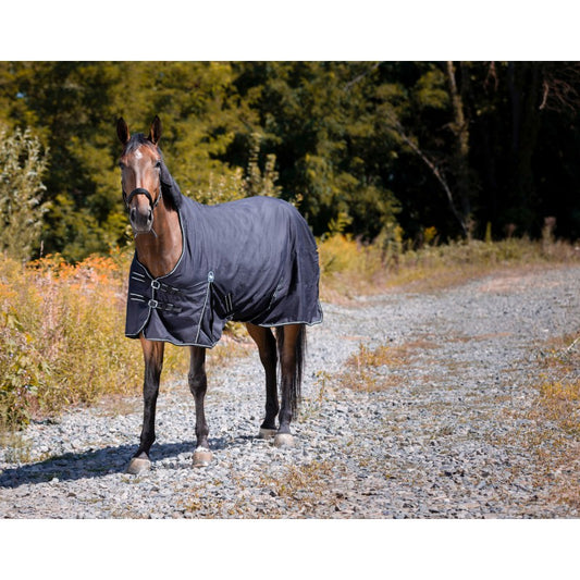 Couverture RIDING WORLD - Oxford