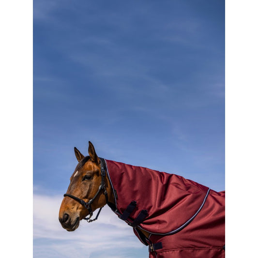 Couvre-cou EQUITHÈME - TYREX 1200D