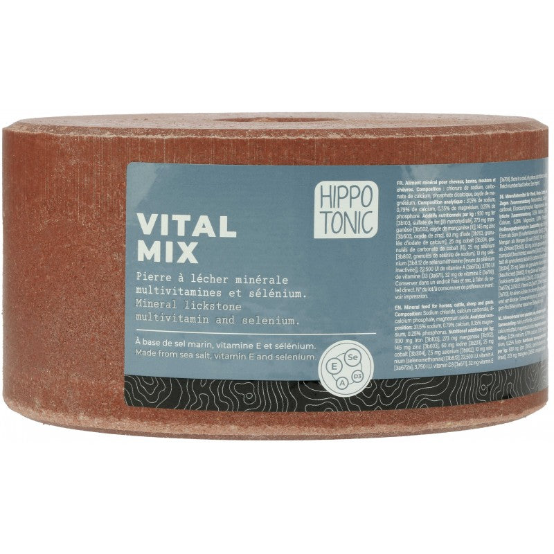 Pierre à sel HIPPOTONIC - Vitalmix