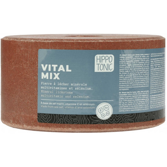 Pierre à sel HIPPOTONIC - Vitalmix