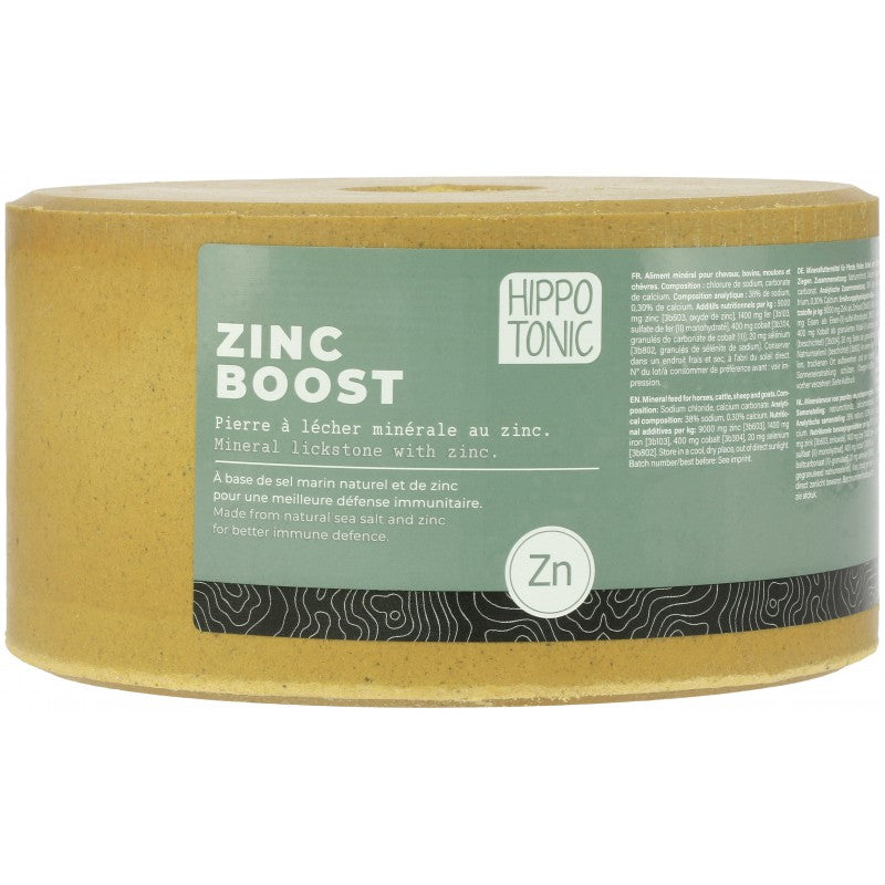 Pierre à sel HIPPOTONIC - Zinc boost