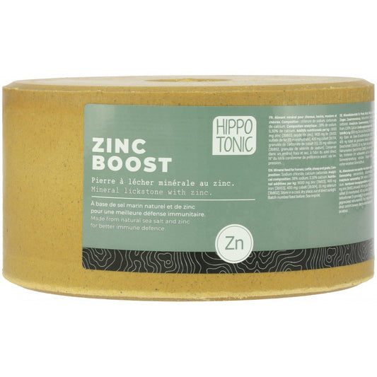 Pierre à sel HIPPOTONIC - Zinc boost