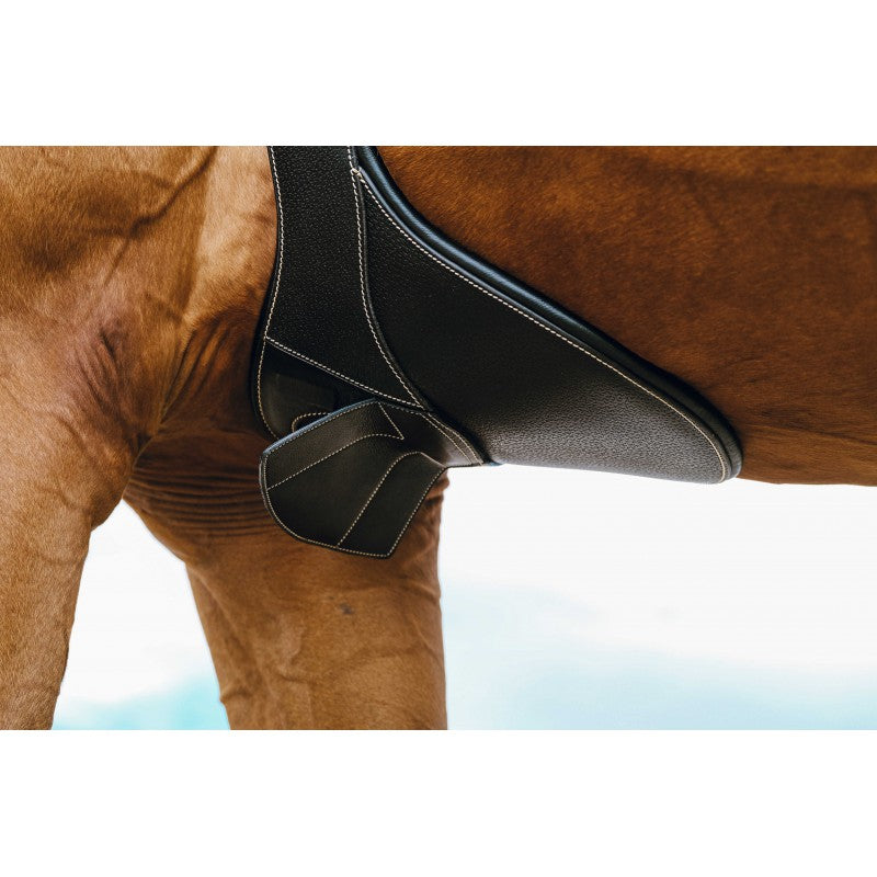 Sangle bavette NORTON PRO - Magnet