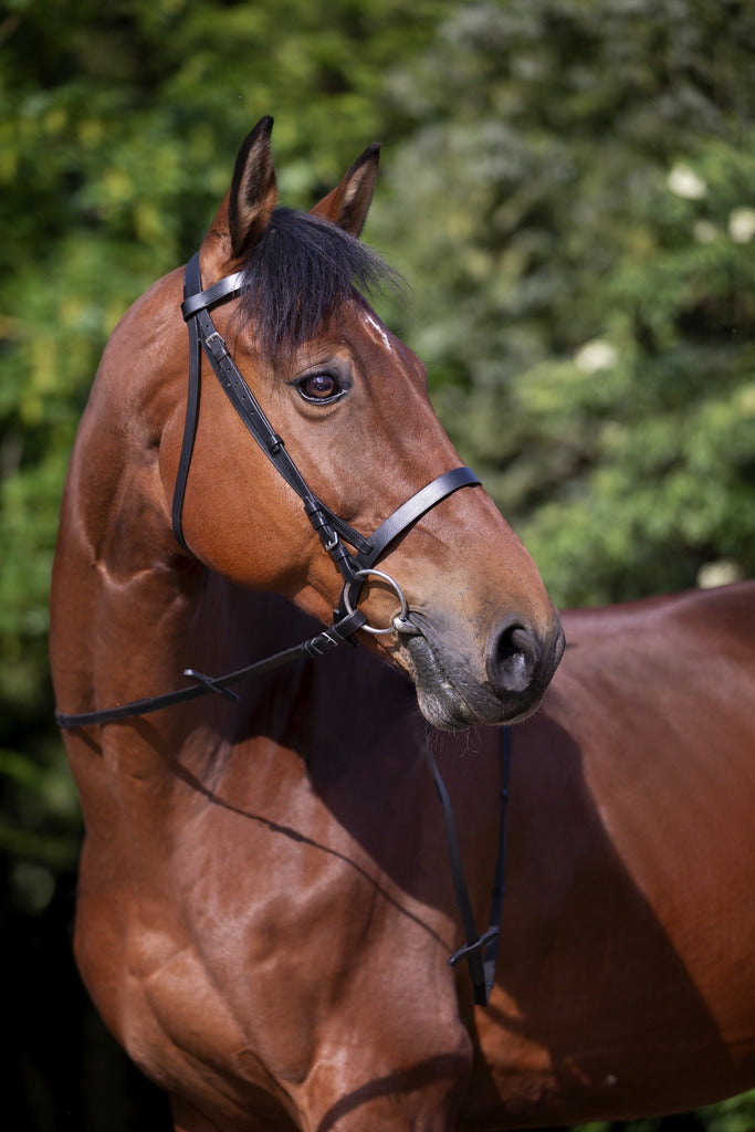 BRIDON RIDING WORLD "MUSEROLLE FRANÇAISE"