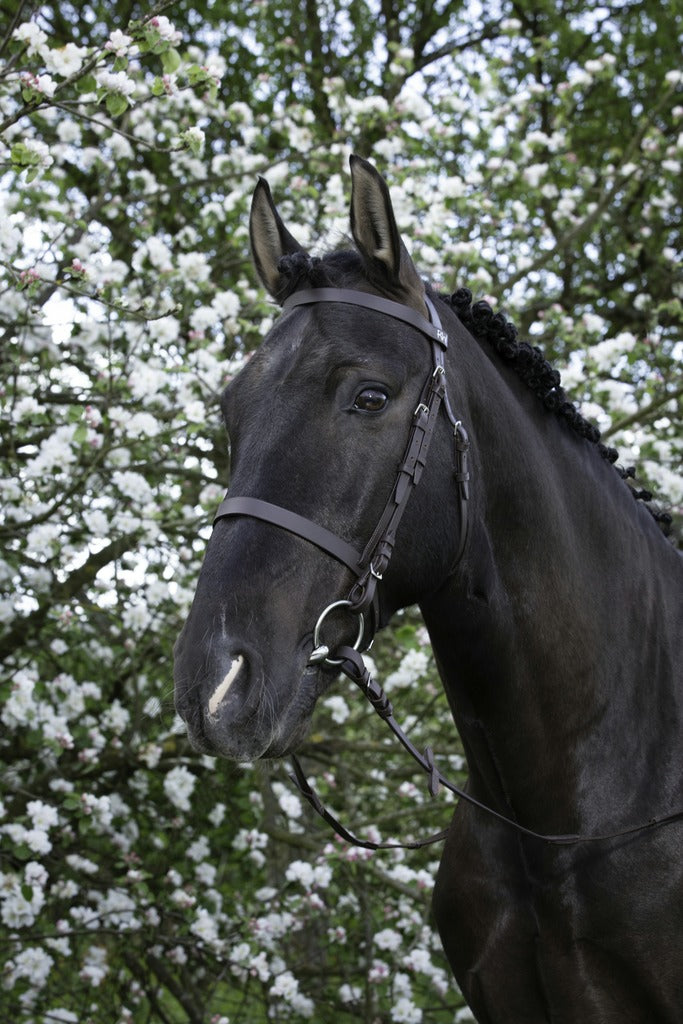 BRIDON RIDING WORLD "MUSEROLLE FRANÇAISE"