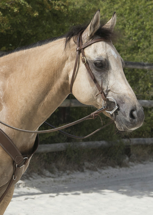 BRIDON WESTRIDE BY FRANCK PERRET "COLORADO"